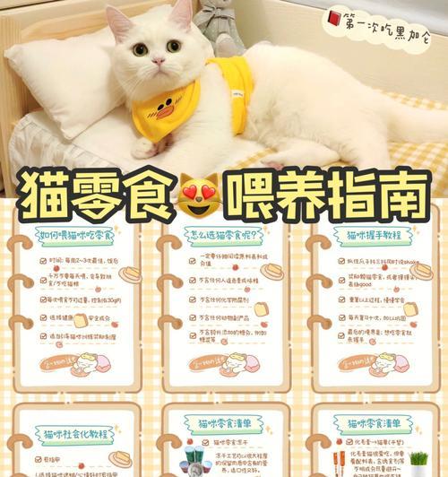 一月小猫（每天一次的均衡饮食，关爱你的小猫）