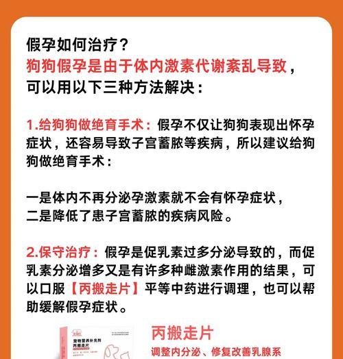 泰迪假孕的治愈时间及方法（探寻泰迪假孕的症状、原因和康复措施）