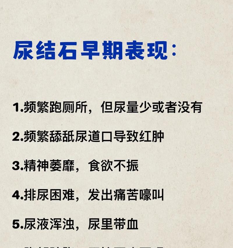 狗狗尿结石的症状及预防方法（了解尿结石，保护你的爱犬健康）