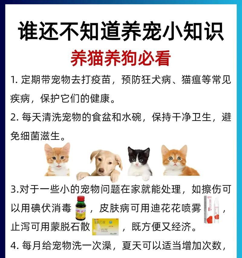 幼猫的单独饲养时间探讨（幼猫何时可以独自生活？）