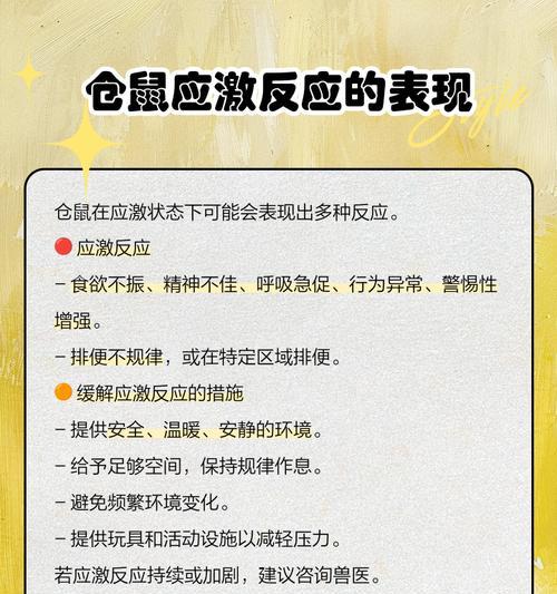 仓鼠精神很好却软便的原因及应对方法（探究仓鼠精神萎靡背后的问题和解决方案）