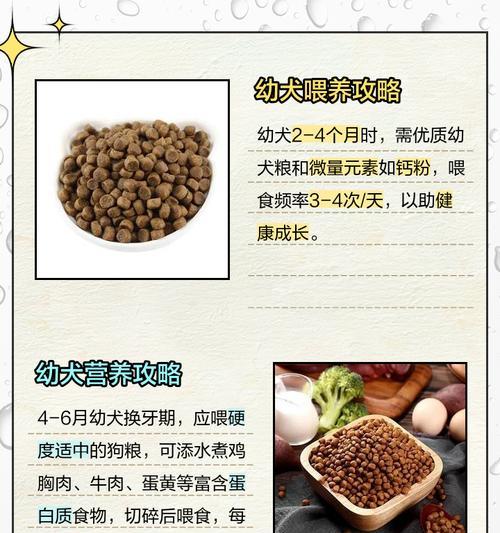 满月狗的合适睡眠时间（满月狗一天需要多长的睡眠时间？）