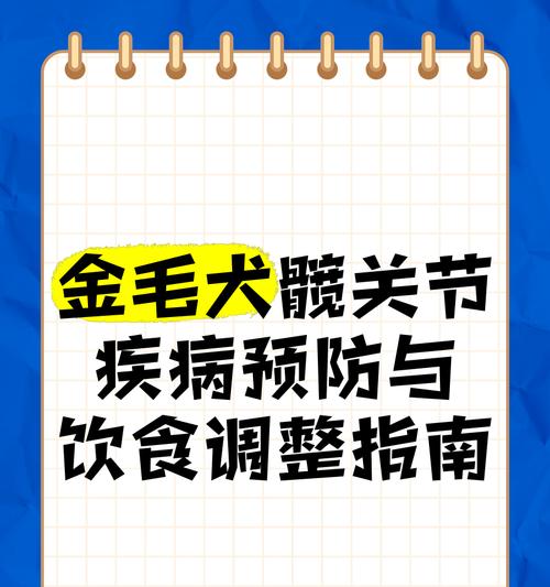 金毛的髋关节发育不良及护理方法（了解金毛的髋关节发育不良和如何进行有效的护理）