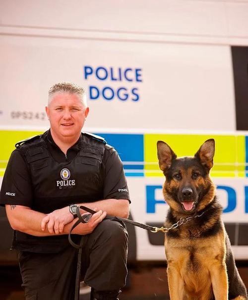 警犬与执法战友——了解不同犬种的警犬（探寻警犬世界，发现适用于不同任务的犬种）