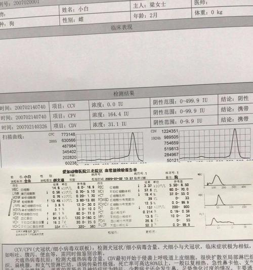 揭秘细小犬瘟潜伏期的长短（细小犬瘟病毒潜伏期到底有多长？）