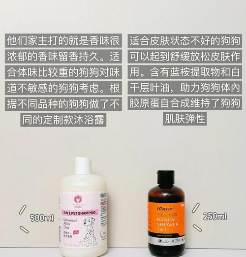 比熊第二针后的洗澡时间表及注意事项（了解比熊第二针的洗澡规定，让爱宠更健康）