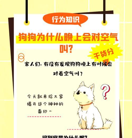幼犬听觉的发展过程（从无声到丰富感知世界的奇妙之旅）