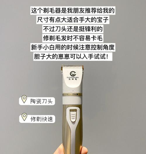 宠物剃毛器的正确使用方法（轻松为宠物剃毛，提供舒适健康的护理体验）