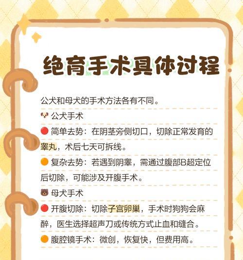 狗狗绝育前的注意事项（了解狗狗绝育手术的相关知识，为它的健康负责）