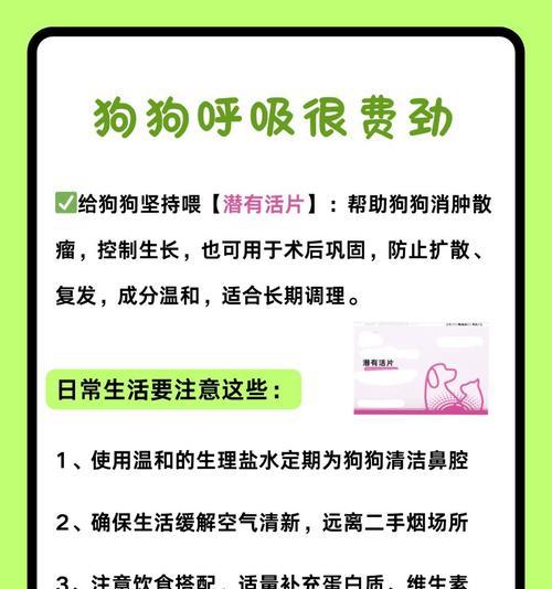 狗食用木糖醇的致命期限（揭秘狗狗食用木糖醇引发的危害及预防措施）