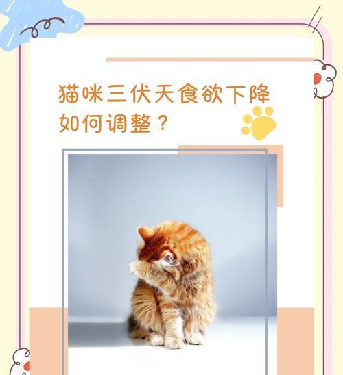 揭秘猫咪夏天食欲缺乏的原因（探寻夏天猫咪食欲低迷的背后原因及应对策略）