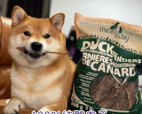 狗狗的肉食品牌大揭秘（15个知名狗粮品牌推荐，让你的宠物吃得健康快乐）