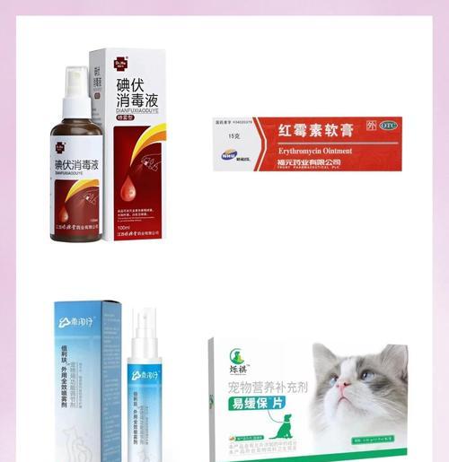 解决狗狗脚趾炎的有效方法（宠物主人自行处理脚趾炎的技巧）