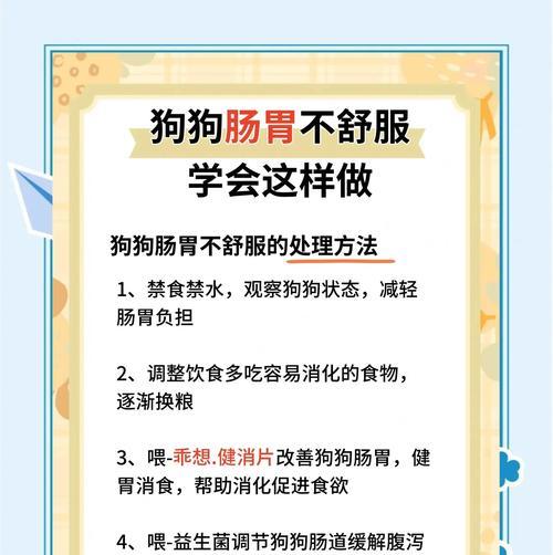 狗狗不吃东西怎么办？调理狗狗胃口的有效方法（教你如何解决狗狗食欲不振的问题，让它恢复健康的胃口）