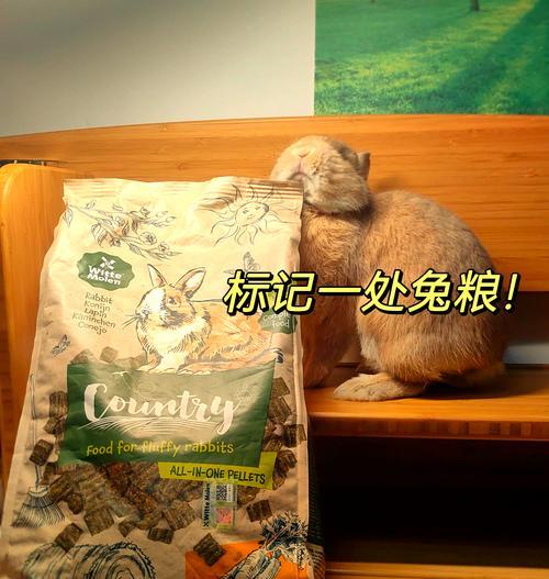 小兔子的饮食习惯（喂食次数和兔粮量的重要性）