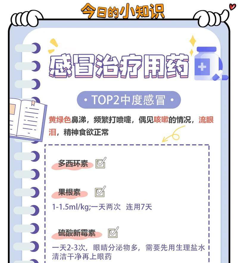 猫感冒的花费及预防措施（了解猫感冒的治疗费用以及减少花费的方法）