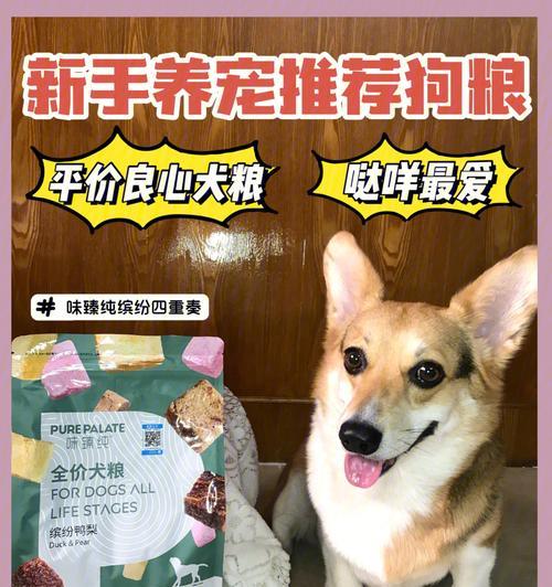 养狗后多久才能下狗？（揭秘狗狗生育周期及注意事项）