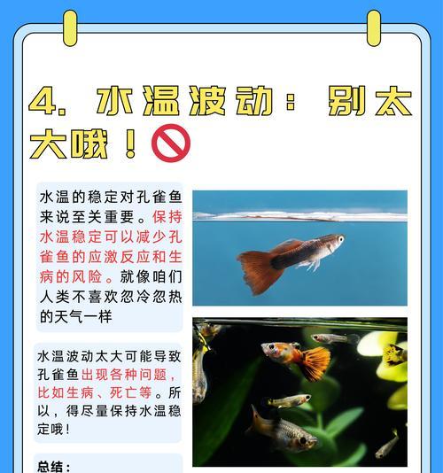 孔雀鱼生病怎么办？一招简单搞定！（教你如何有效应对孔雀鱼生病的方法）