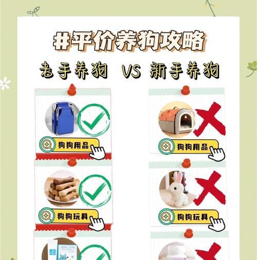 狗狗多久能养熟悉主人？（探索狗狗适应新环境的时间和方法）
