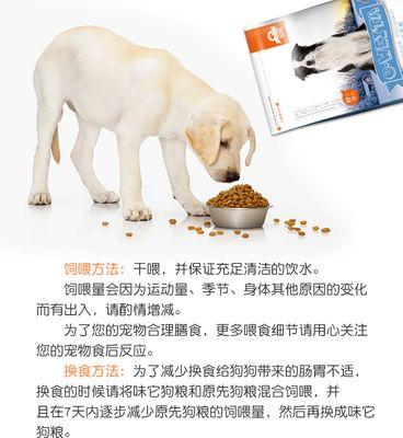 如何正确照顾2个月大的边牧狗狗（合理喂食是关键，注意适量和质量）