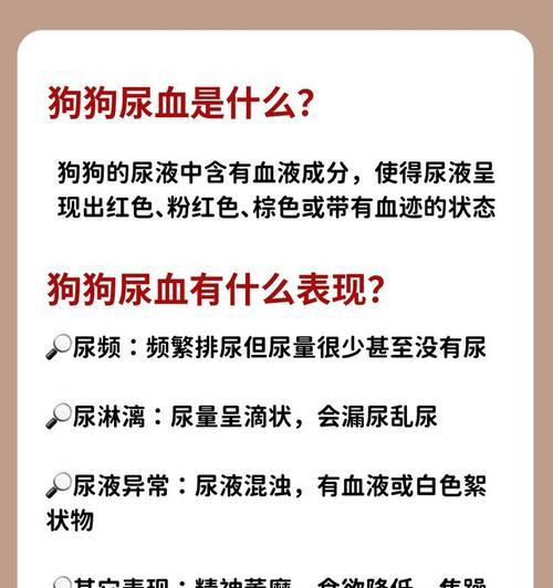 狗狗尿液里有血是什么病？原因与治疗方法详解（揭秘狗狗尿液带血的原因，以及有效的治疗方法）