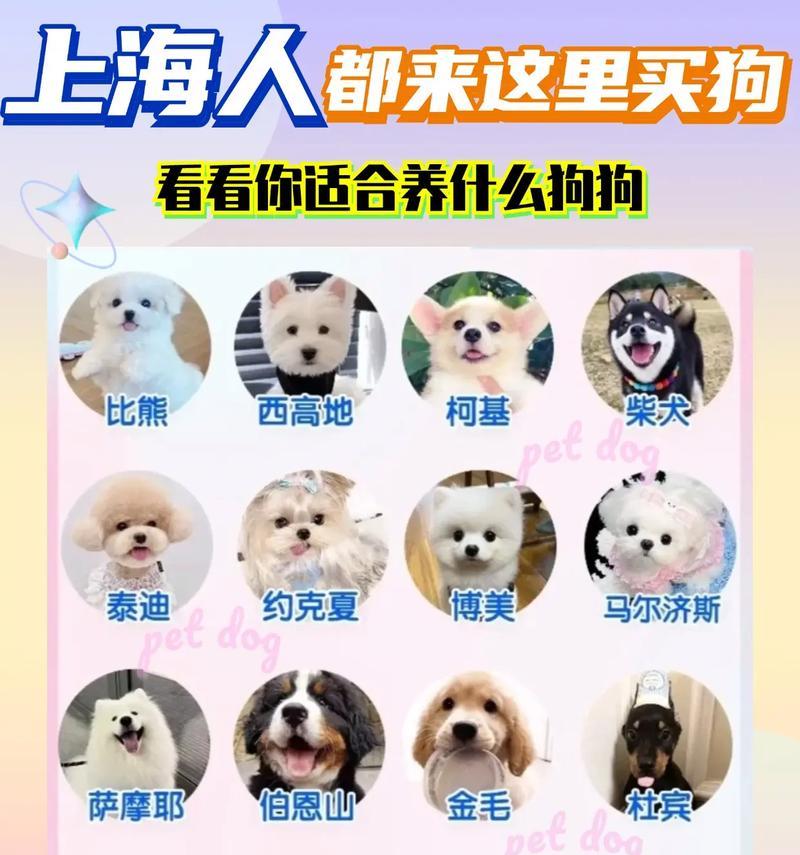 宠物狗幼犬的成长轨迹（探究幼犬成长的时间和关键因素）