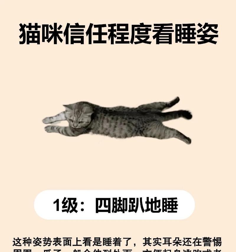 探索猫咪世界中最可爱的睡姿（揭秘十大常见猫咪睡姿，让你爱上这些萌宠）