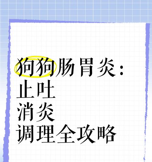 狗狗肠胃炎的康复时间有多长？（狗狗肠胃炎恢复的关键是什么？）