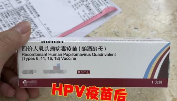 狗狗狂犬疫苗打了多久可以洗澡？（探寻洗澡前的最佳时间和注意事项）