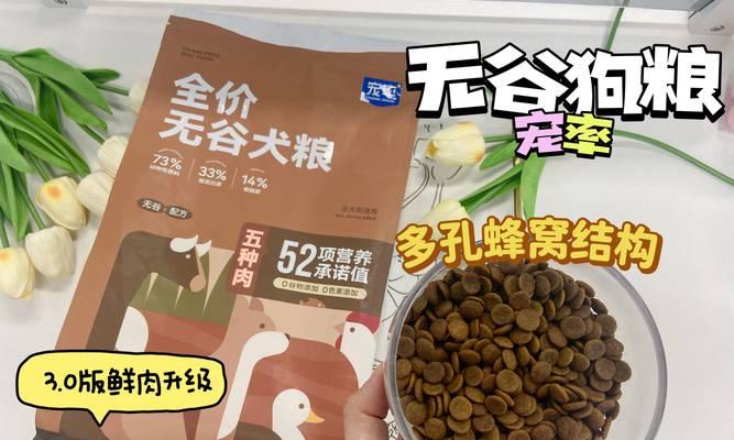 两个月大的泰迪如何合理喂养？（关于泰迪的饮食习惯及注意事项）