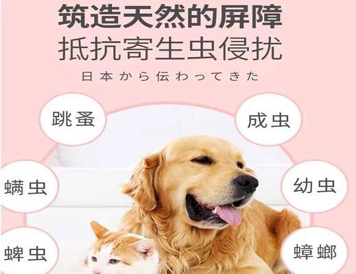 洗完澡后多久进行体外驱虫的最佳时机是什么？（科学解析洗澡后体外驱虫的时间窗口）