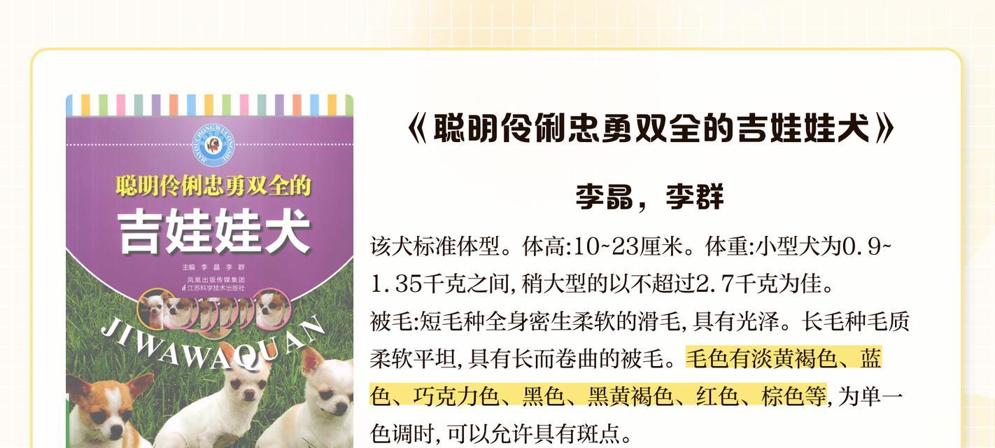 养吉娃娃的注意事项（养宠物狗前需要了解的关键信息）