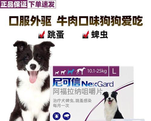 宠物体外驱虫的重要性（保护宠物健康，定期体外驱虫）