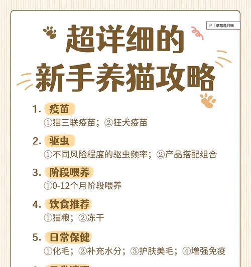 猫咪疫苗接种后的驱虫时间表（猫咪疫苗接种后，什么时候才能进行驱虫？）