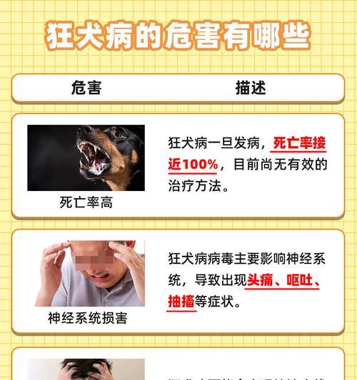 狗类传染疾病的风险及预防措施（了解狗类传染疾病的危害，保护人类健康）
