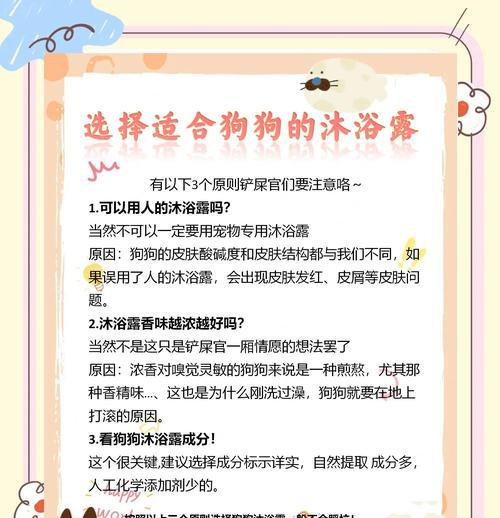 狗狗洗澡的意义及最佳频率（科学洗澡，宠爱你的狗子）