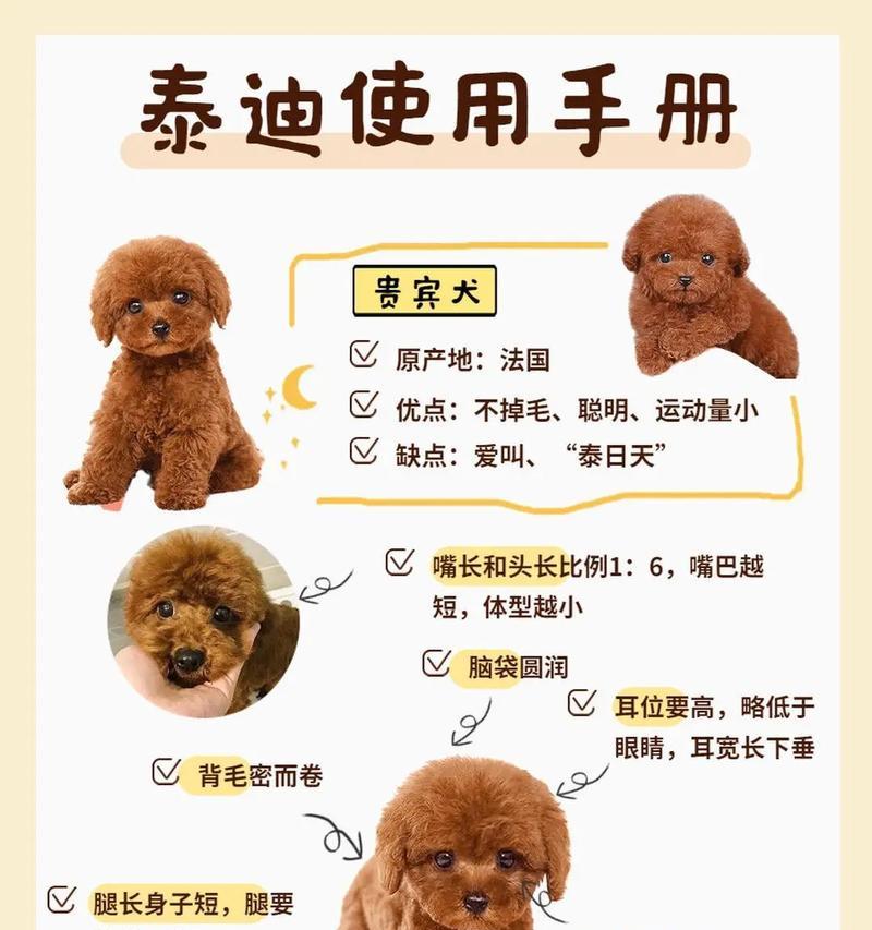 泰迪狗剃光毛后需要多久才能长出来？（了解泰迪狗毛发生长周期及促进生长的方法）