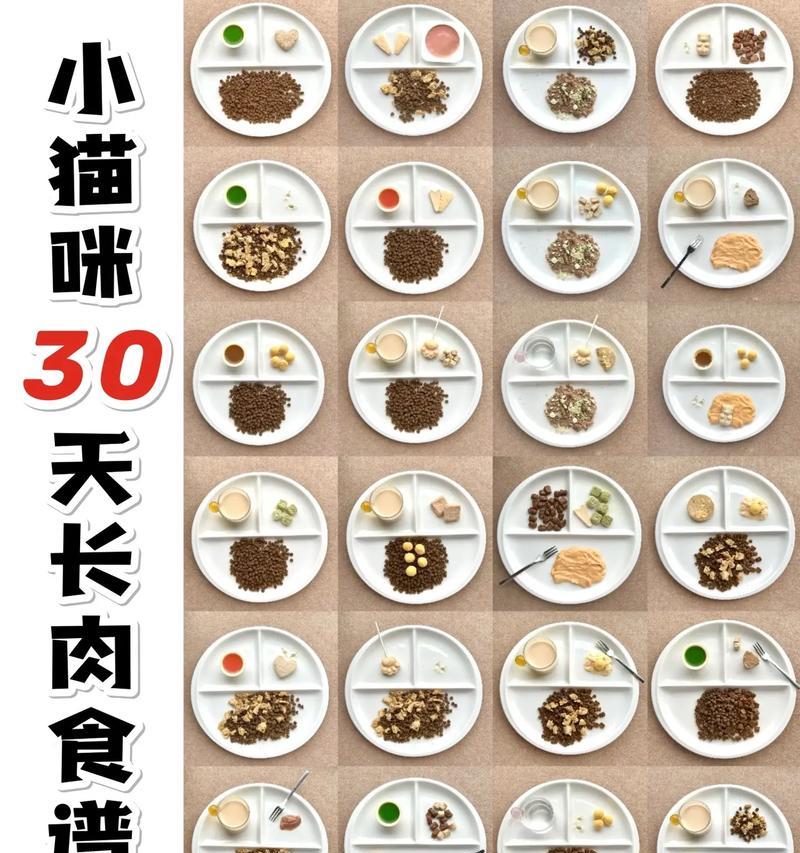 猫的饮食禁忌与推荐菜肴（了解猫可以吃哪些菜肴，让它健康成长）