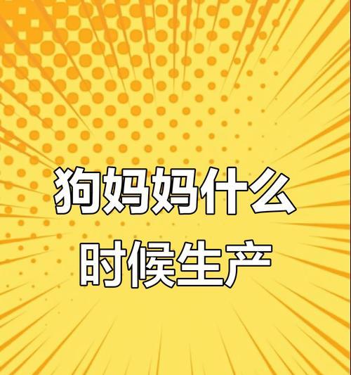 泰迪狗的怀孕周期及分娩过程解析（揭秘泰迪狗的孕期与生产过程，助您全面了解宠物狗的繁殖特性）