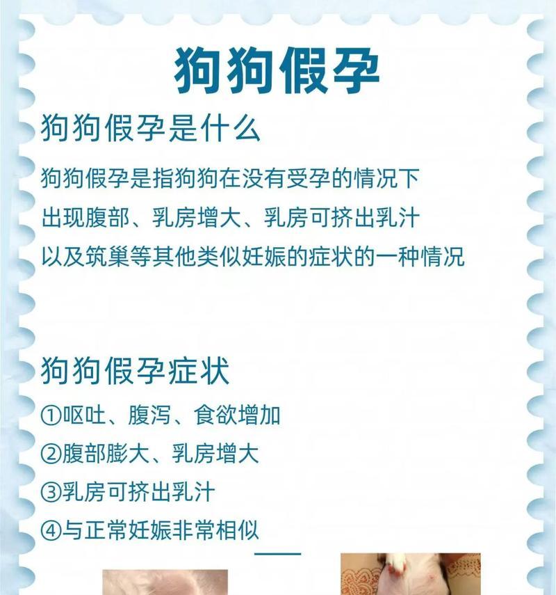 狗狗产前症状（分析狗狗产前症状，保障母犬及胎儿的健康）
