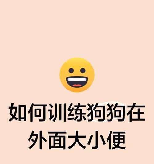 如何训练狗狗大小便的正确方法（解决狗狗随地大小便的困扰，让家庭更干净整洁）
