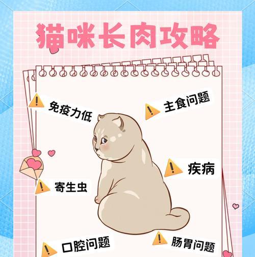 猫吃生肉需冻多久？（解析猫咪食用生肉前的冻结时间要求）