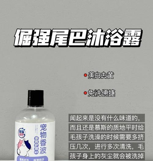 猫咪产后多久可以洗澡？（掌握适当的时间，保护母猫健康与幼崽安全）