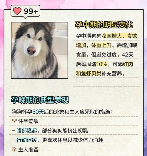 小狗孕期的全程护理和注意事项（了解小狗孕期的长度及其所需的护理措施，以确保它们的健康和幸福）