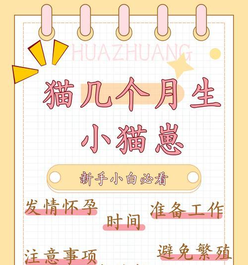 母猫产后护理（宝宝和妈妈都需要你的关爱和照料）