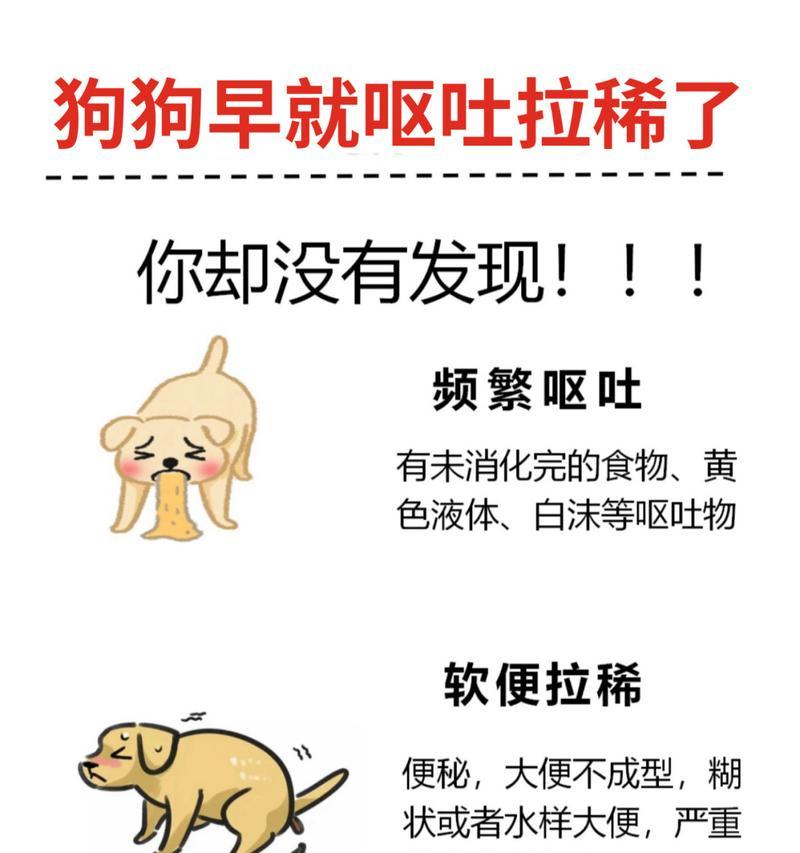 狗狗腹泻呕吐的常见原因（了解狗狗腹泻呕吐的原因，及时照顾它们的健康）