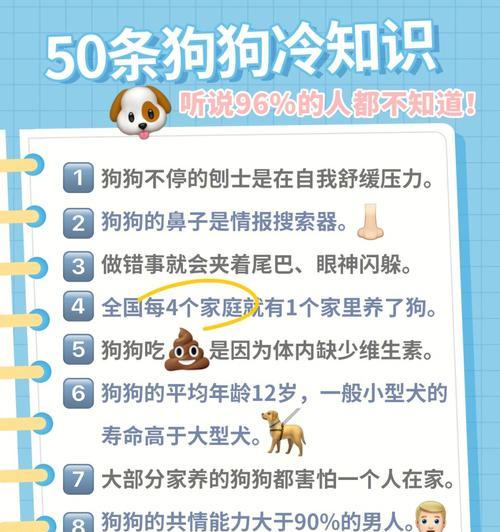 金毛犬（探索金毛犬的神奇之处，让你对它爱不释手）