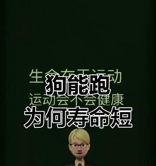 狗狗的合适运动量究竟是多少？（探讨狗狗每天运动的最佳时长与强度）