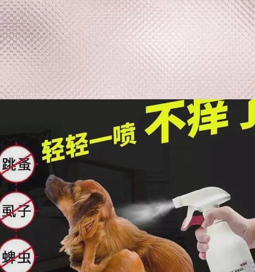 宠物犬得了虱子怎么办？（了解犬虱病症状，帮助宠物犬远离虱子的困扰）