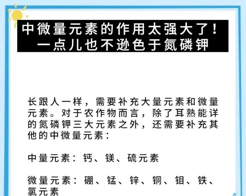 微量元素（从头到脚，微量元素守护你的健康）